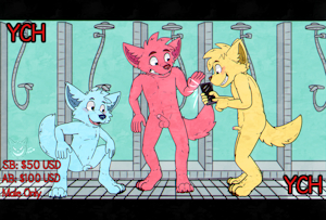 No photos! YCH