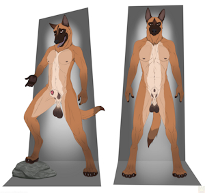 Standing Malinois (COMMISSION)