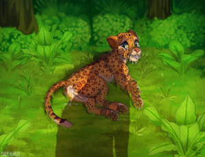 A used leopard cub