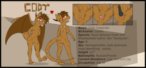 Reference Sheet: Cody