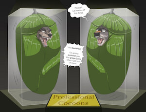 Professional Cocoons