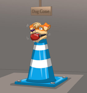Dog Cone