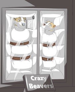 Crazy Beavers
