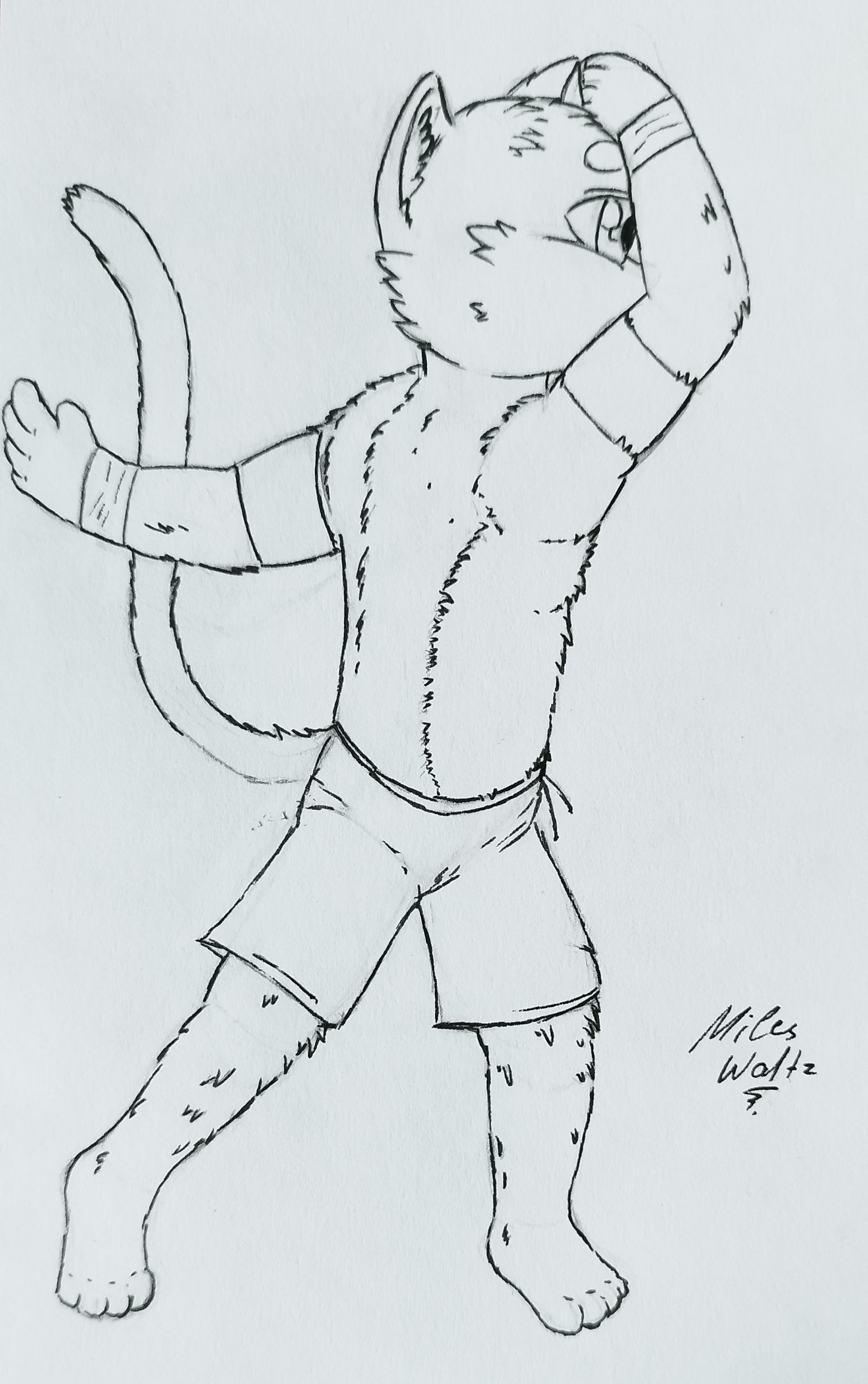 4026751_MilesWaltz_2_-_throwing_motion_furry.jpg