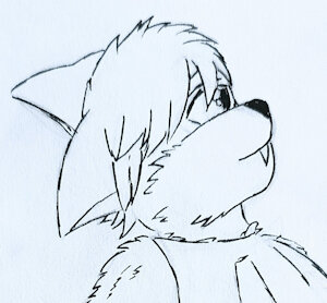 Lineart - Sport Jump