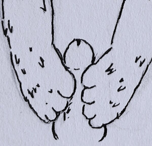 Lineart - Improvised Work