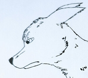 Lineart - Dog