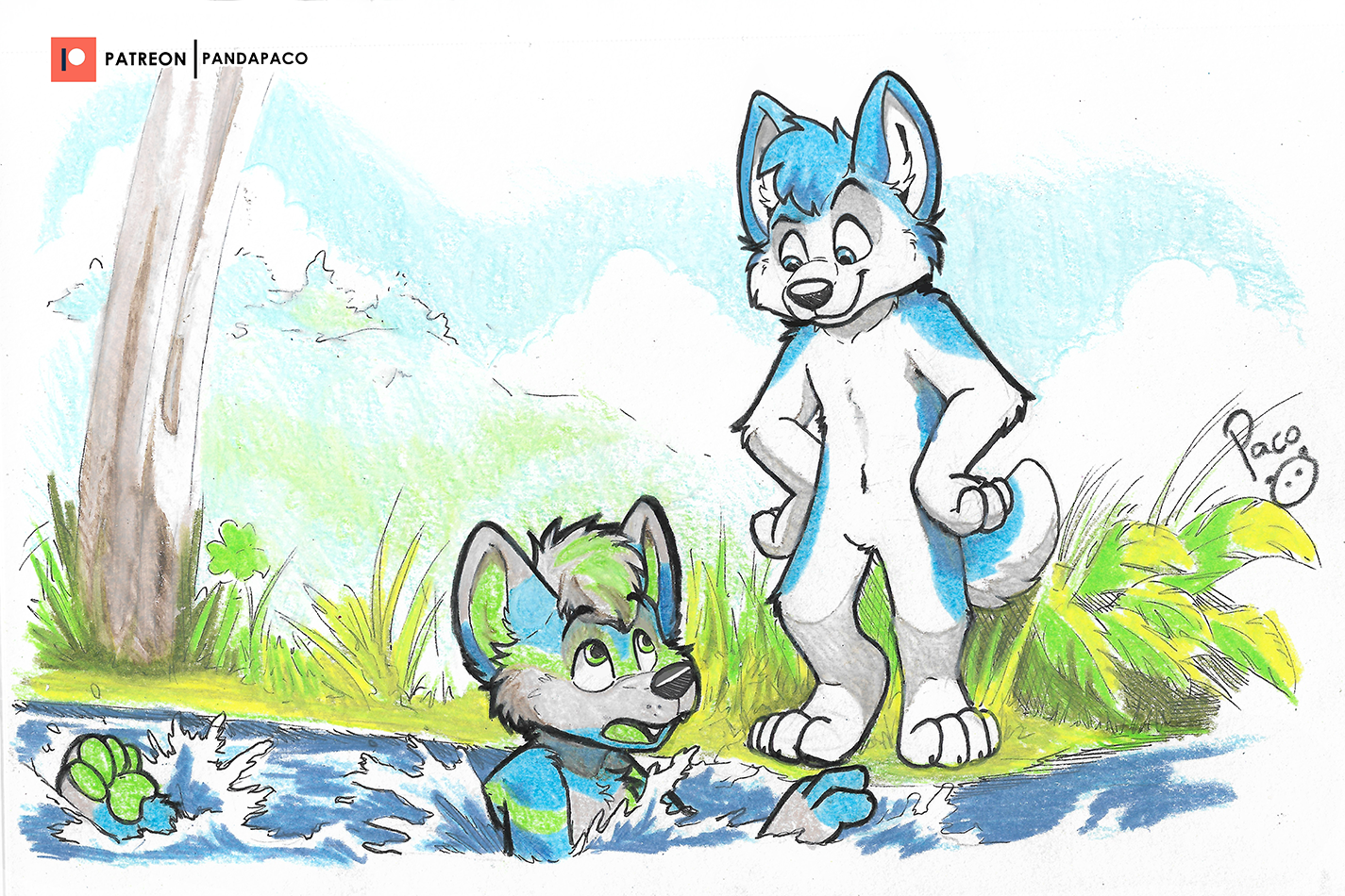 4035910_pandapaco_1003vulcan_jhusky.png