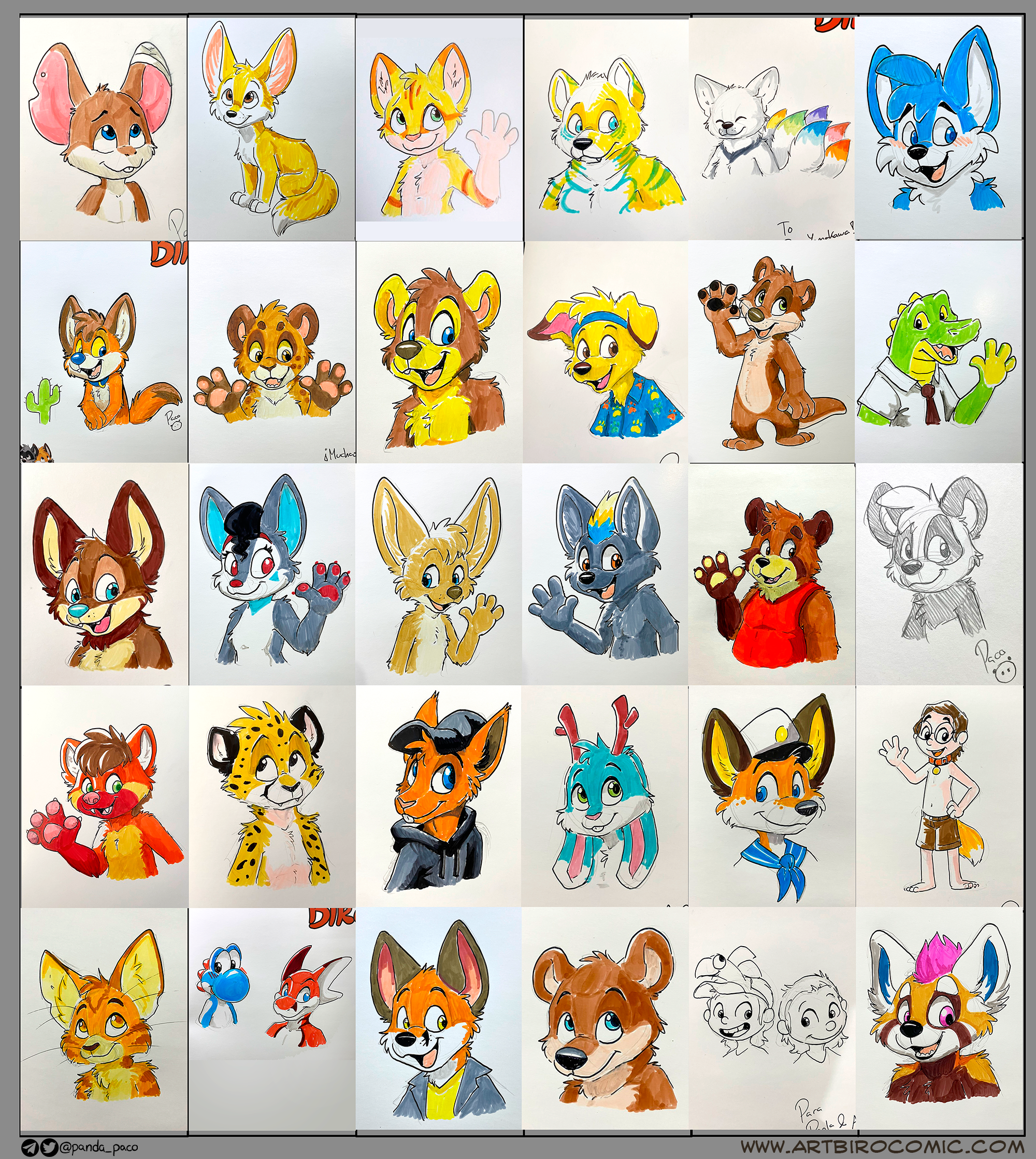 4035916_pandapaco_1008kickstartersketches.png
