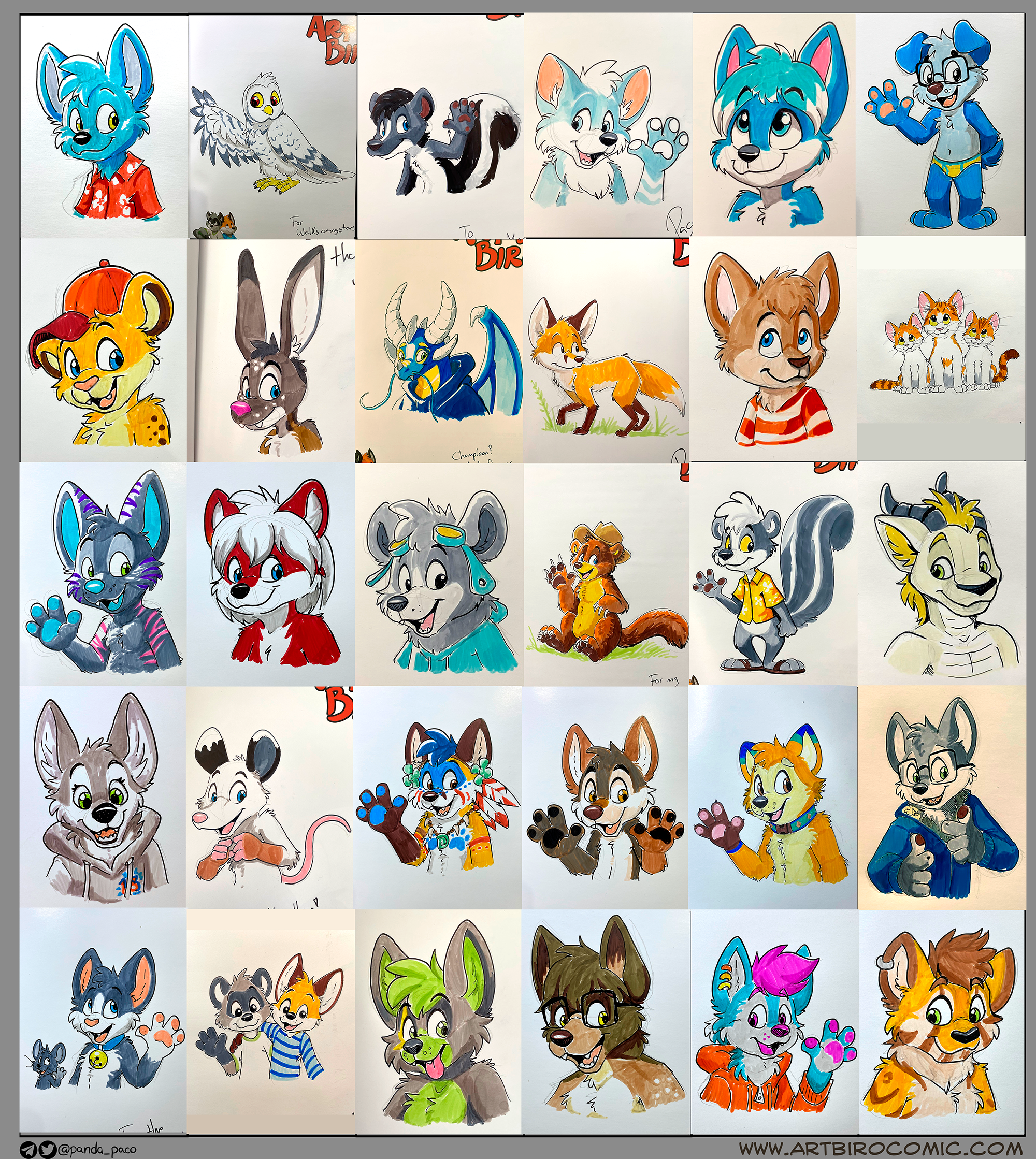 4035917_pandapaco_1009kickstartersketches.png