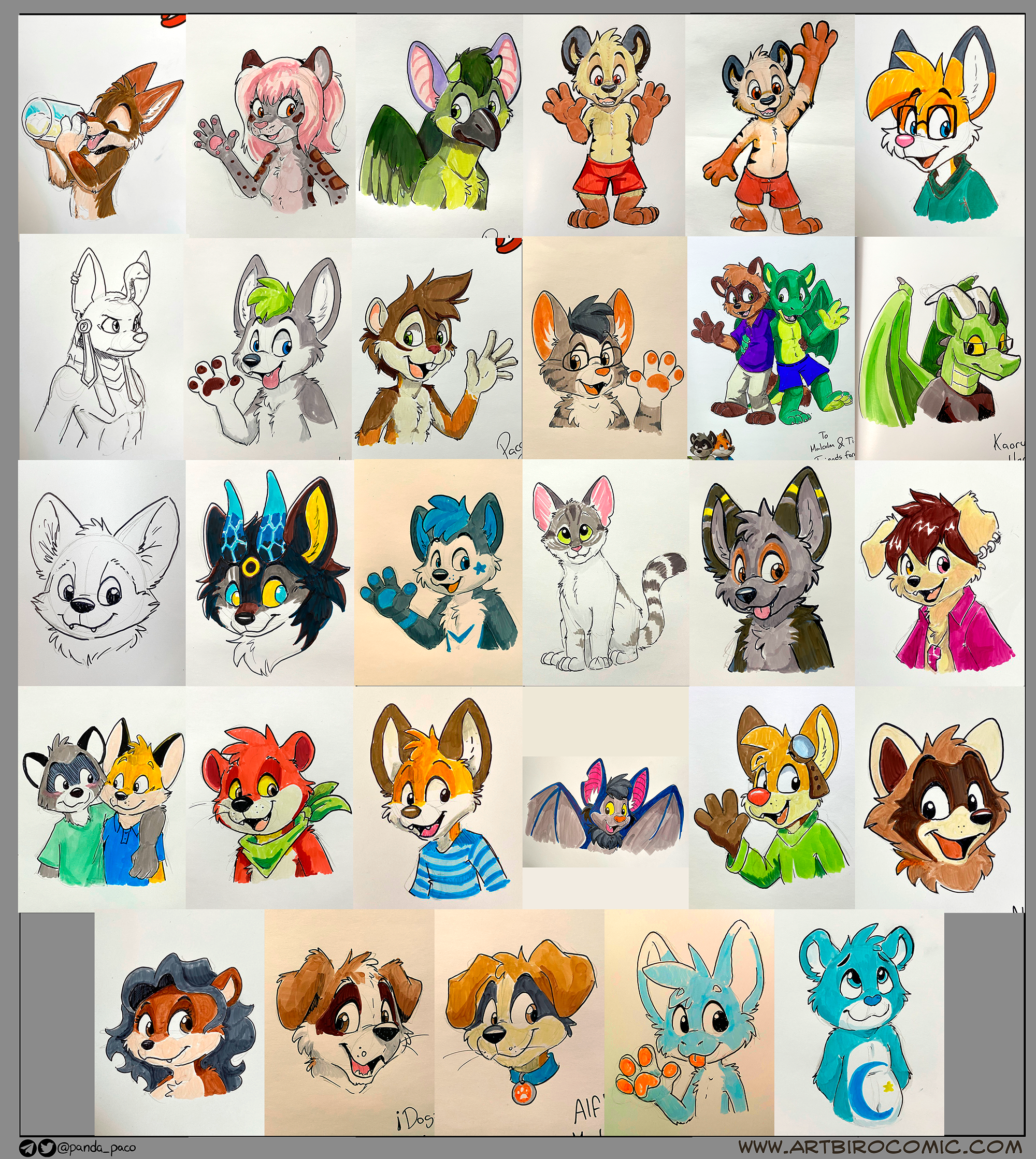 4035920_pandapaco_1010kickstartersketches.png