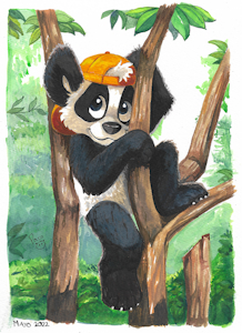 Panda