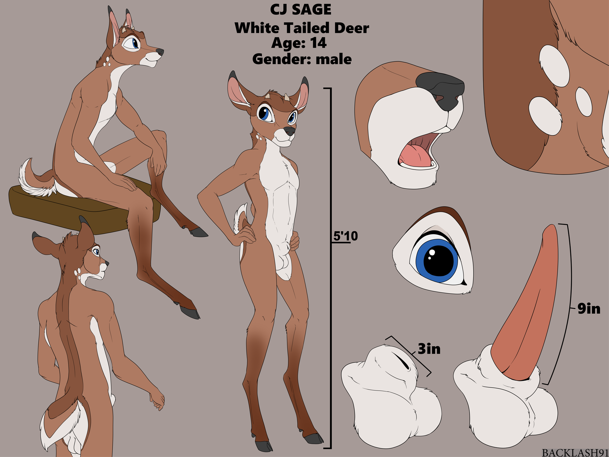 4044893_Backlash91_cj_sage_reference_sheet_s.png
