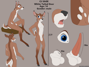 4044893_Backlash91_cj_sage_reference_sheet_s.png