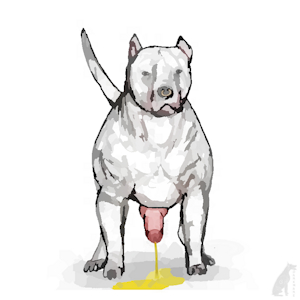 "Drink my piss."