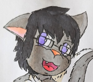 Netogra Commission