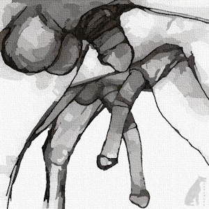 Swinging Dicks [sketch]