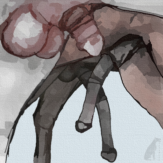 4051129_darkmare_swingingdicks3.png