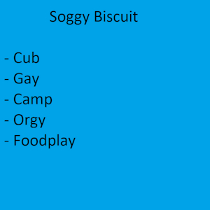 Soggy Biscuit