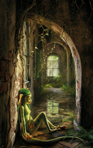 House of ferns