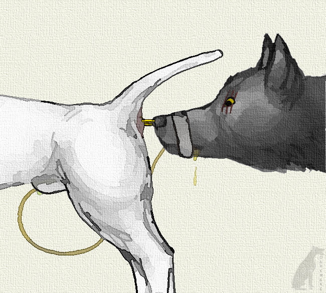 4056479_darkmare_boaz_alex.png