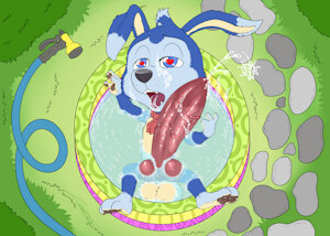 Scooch Pooch Pool