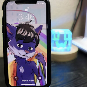 Cub Screen