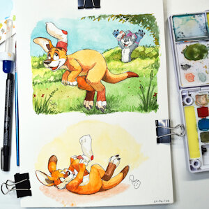 The Wallaby and the Sock