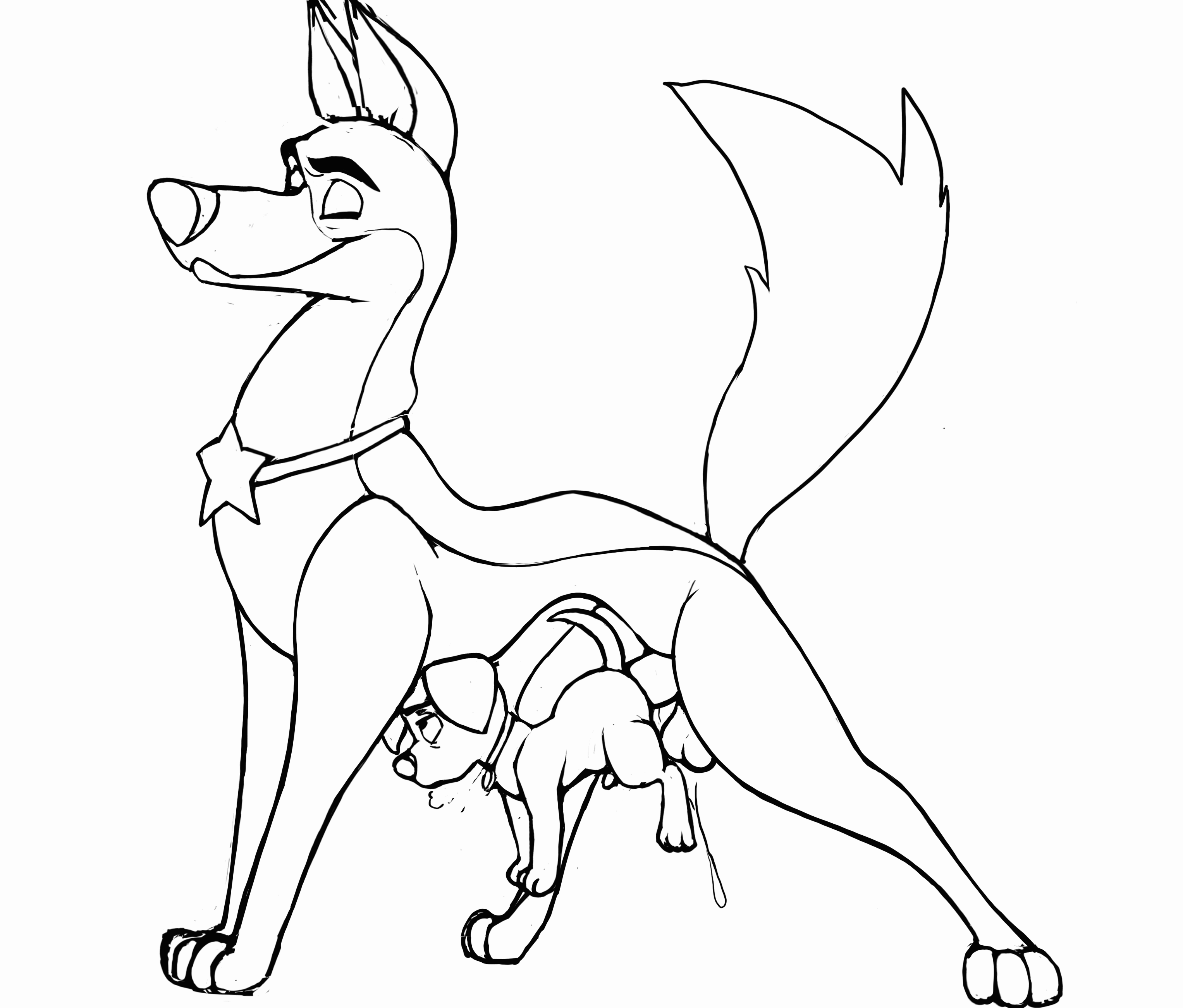 4074492_Tricksta_doggy_style_hump_finish-2.gif
