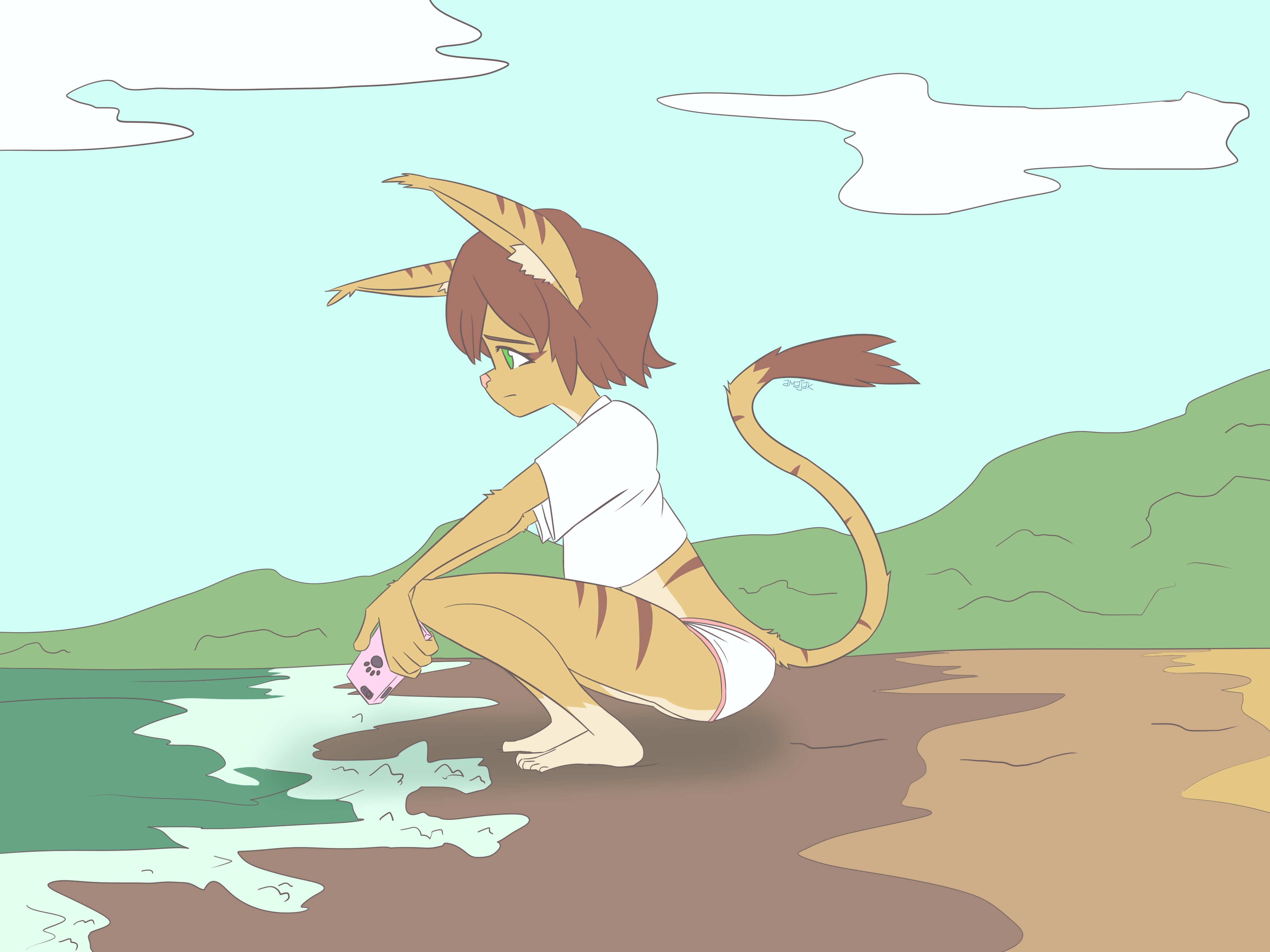 4078196_amajak_codyskrtls.png