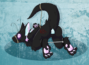 [T] Bound Digi