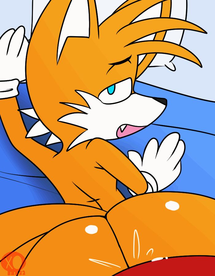 4078624_Neversoft_tails_being_cute_2.knuckles_x_tails_lxander191_.gif