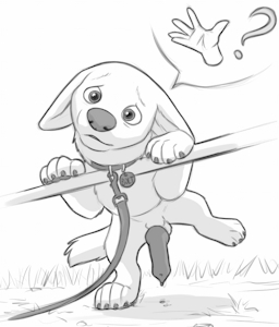 Bolt