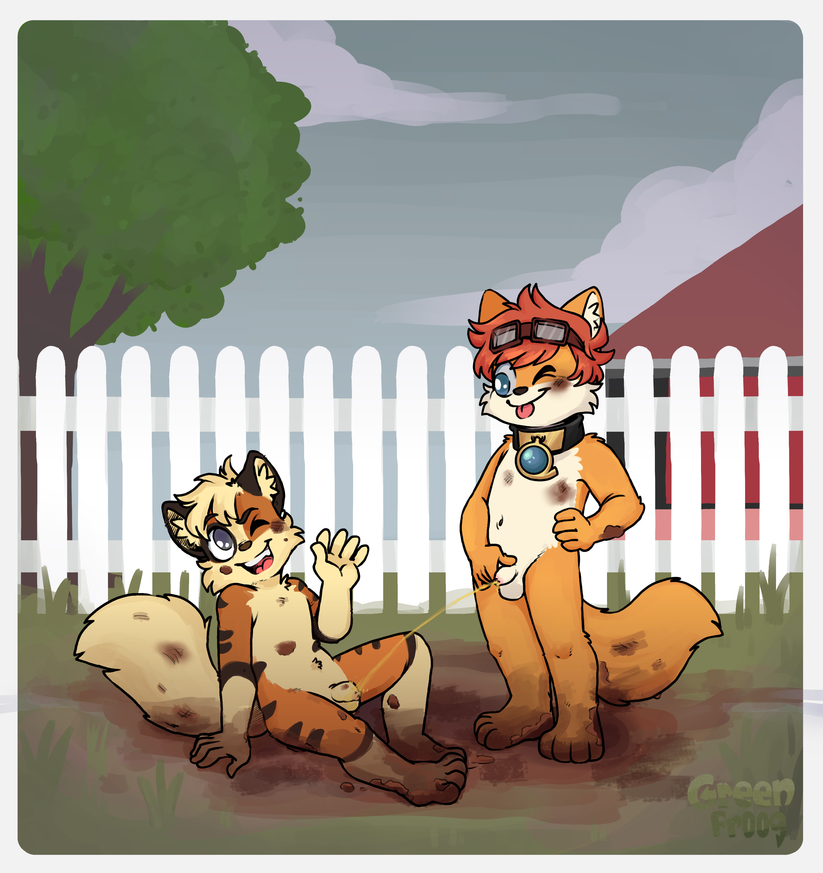 4089070_CookieFoxBrandon_softonsoft.png