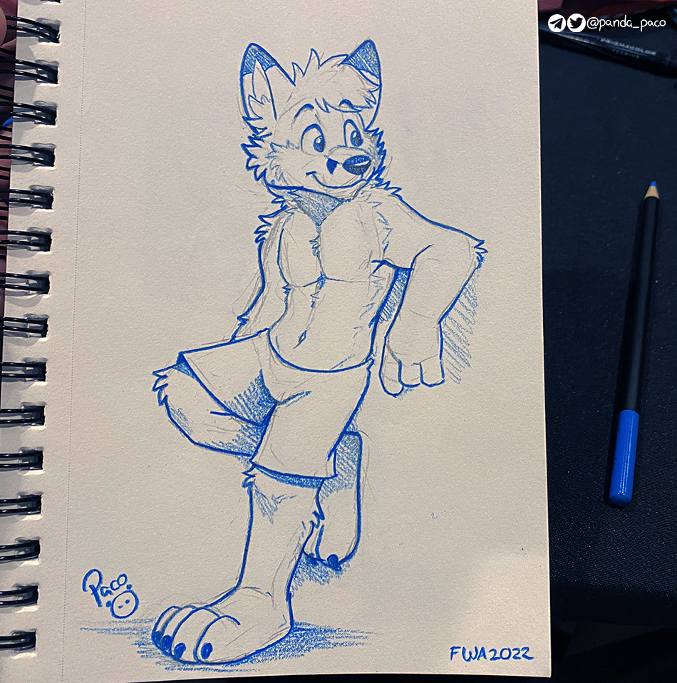 4089129_pandapaco_1018bluefox.png