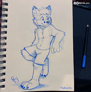 4089129_pandapaco_1018bluefox.png