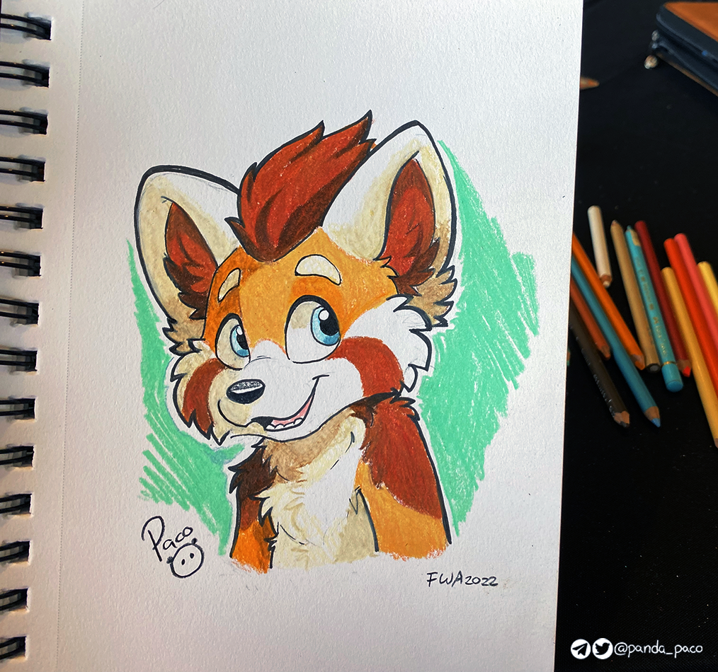 4089139_pandapaco_1027nic.png