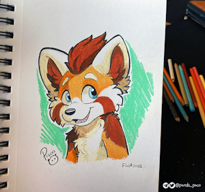 4089139_pandapaco_1027nic.png