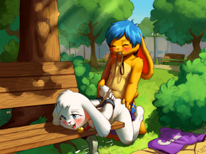 Park affairs [commission]