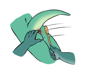 4151090_TwistedDragon_claireswattingclr.png