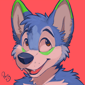 Shocker the Husky