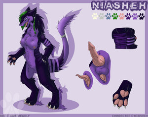 [Commission] Niasheh Ref' Sheet