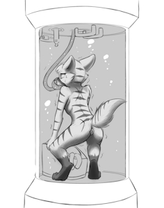 4108513_Chaon_a_tabby_submerged.png