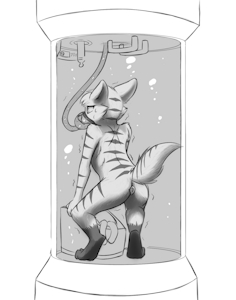 4108515_Chaon_b_tabby_submerged.png