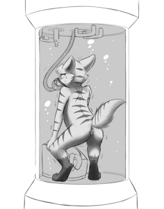4108517_Chaon_c_tabby_submerged_fur.png