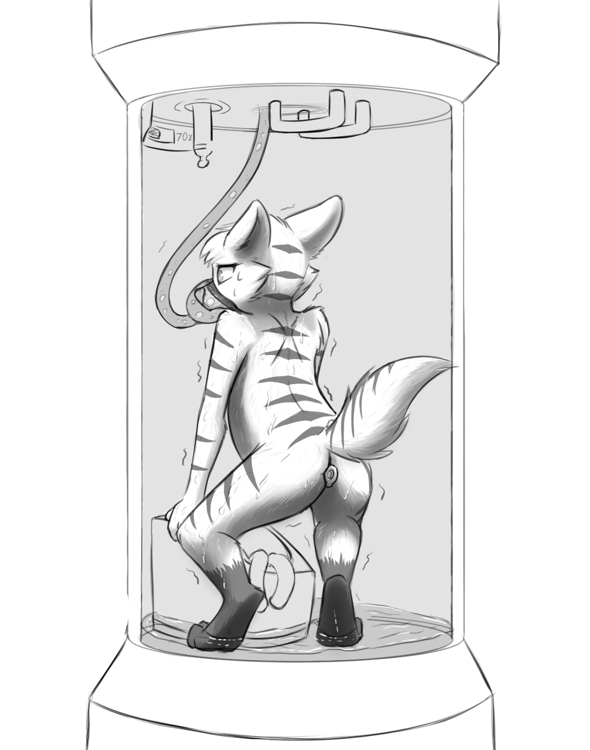 4108519_Chaon_c_tabby_sweat.png