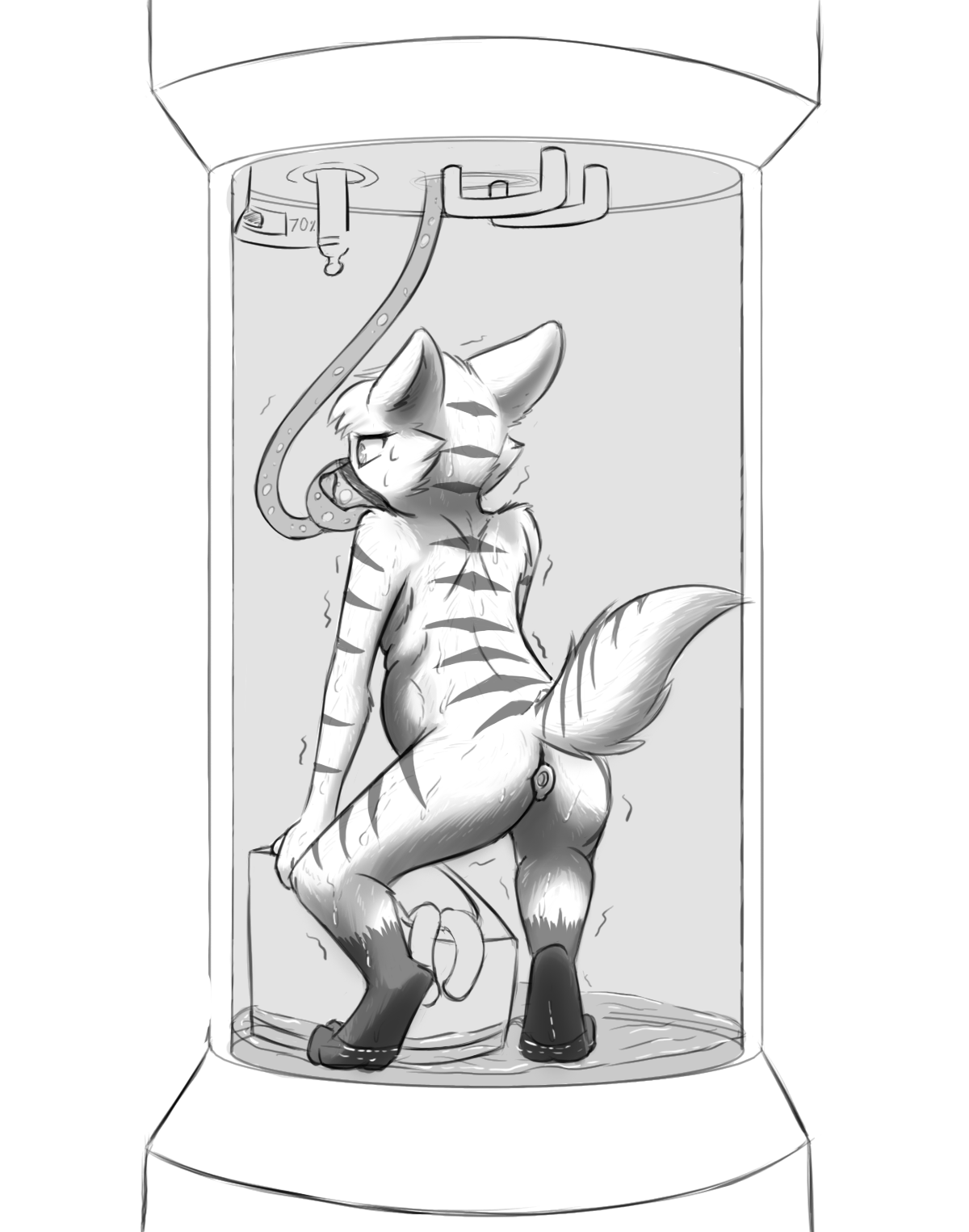 4108521_Chaon_d_tabby_sweat.png