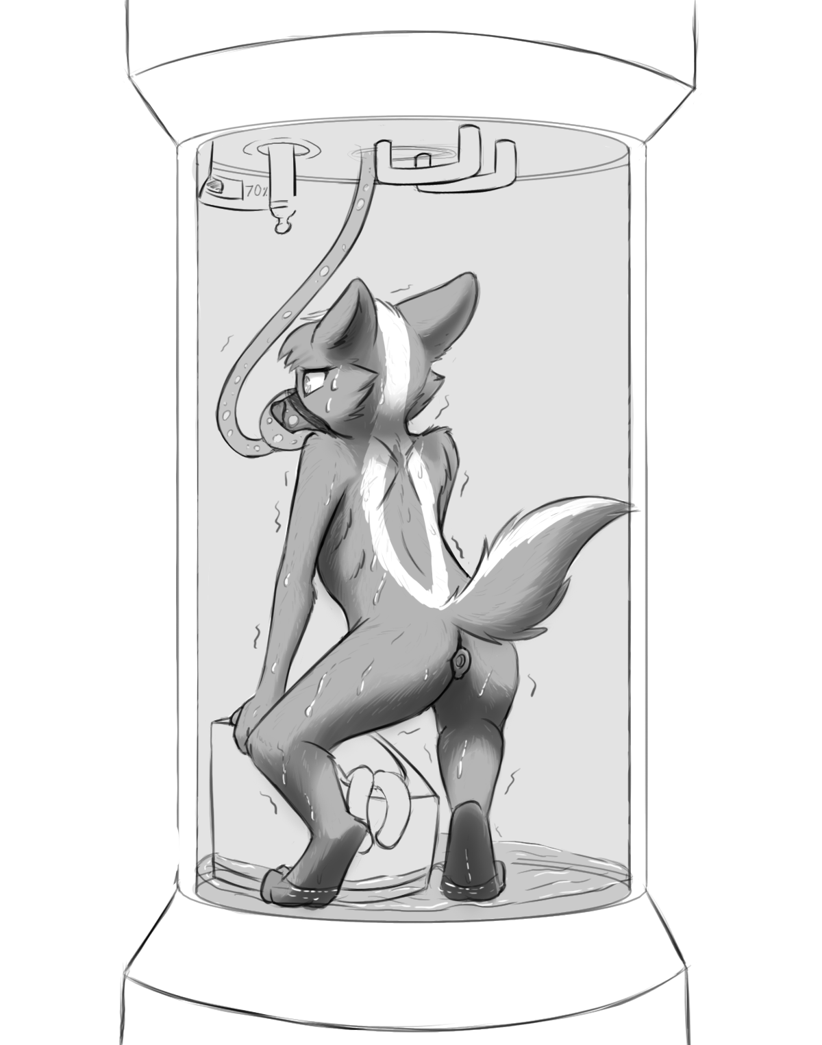 4108552_Chaon_b_skunk_sweat.png