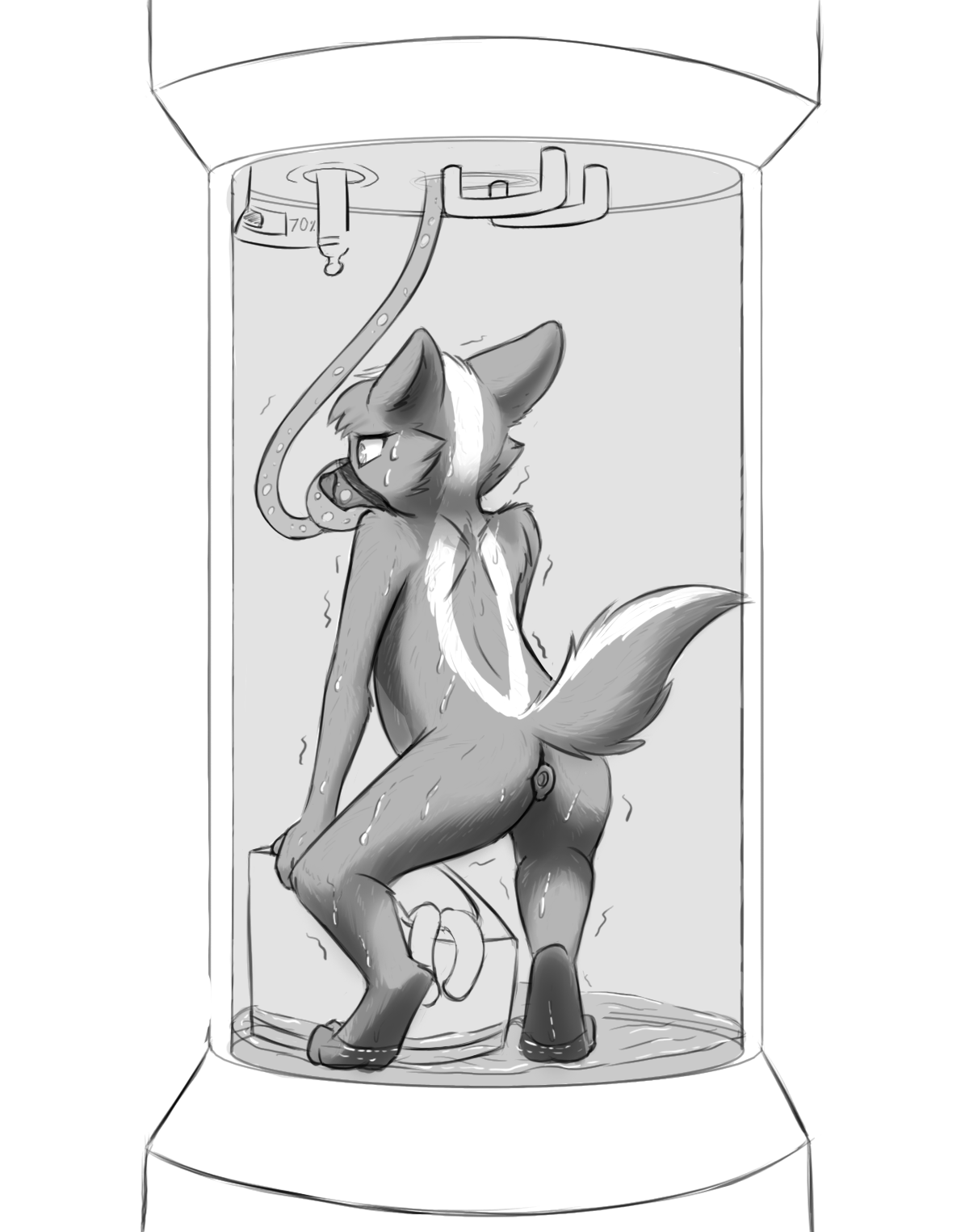 4108555_Chaon_c_skunk_sweat.png