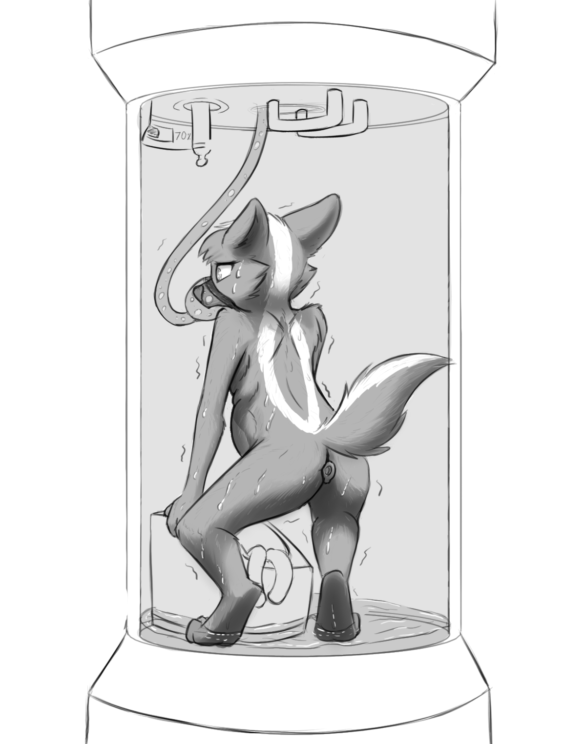 4108556_Chaon_skunk_d_sweat.png